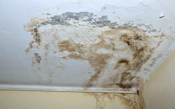 resim_2023-12-04_124239478